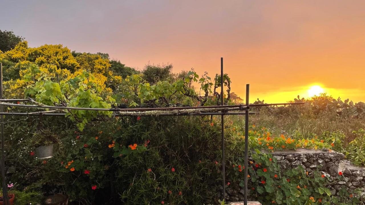 Erese Casa Rural Casa & Monte المظهر الخارجي الصورة